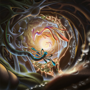 百庋度搜索欧洲老太婆与孙子乱伦视频
